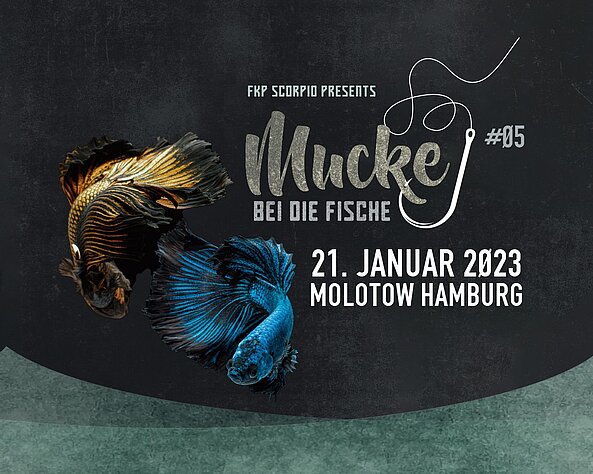 Jetzt erst recht: Mucke bei die Fische bringt neue Talente ins Molotow